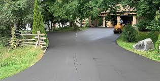 Best Driveway Maintenance Services  in Selma, NC